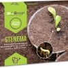 Stenema 100m² | Aaltjes Tegen Rouwvliegjes | Tegen Larven Van Rouwvliegen | Rouwvliegjes Bestrijden | Varenrouwmuggen | In Planten | 100% Natuurlijke Biologische Bestrijding