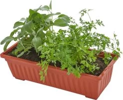 Tectake - Verticaal Plantenrek Met 4 Bakken - 403445 -Gardena Winkel 1200x975 6