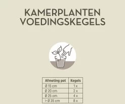 Pokon Kamerplanten Voedingskegels - 10st - Plantenvoeding - 6 Maanden Voeding -Gardena Winkel 1200x999 3