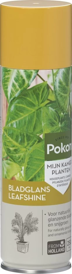 Pokon Bladglans 250ml -Gardena Winkel 316x1200