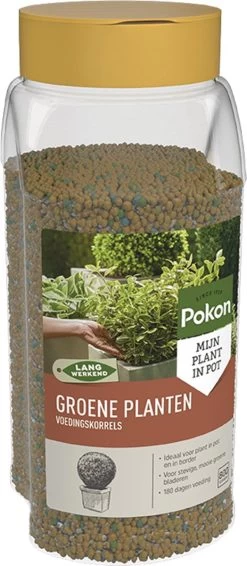 Pokon Voedingskorrels Voor Groene Planten - 800gr - 180 Dagen Voeding - Plantenvoeding -Gardena Winkel 524x1200 2
