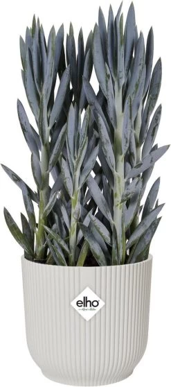 Elho Vibes Fold Rond Wielen 35 - Bloempot Voor Binnen - Ø 34.9 X H 32.4 Cm - Zijdewit -Gardena Winkel 531x1200 8