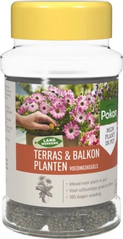 Pokon Voedingskegels Voor Terras- & Balkonplanten - 40 Stuks - 180 Dagen Voeding - Plantenvoeding -Gardena Winkel 616x1200 1