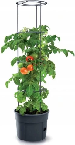 TOMATENPOT VOOR HET KWEKEN VAN TOMATEN PROSPERPLAST 28L -Gardena Winkel 621x1200 8