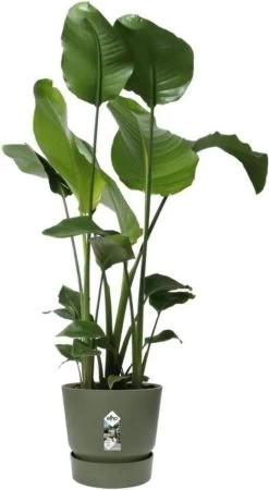 Elho Greenville Rond 30 - Grote Bloempot Voor Buiten - Gemaakt Van Gereycled Plastic - Ø 29.5 X H 27.8 Cm - Blad Groen -Gardena Winkel 658x1200 1