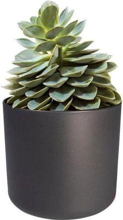 Elho B.for Soft Rond 22 - Bloempot Voor Binnen - Ø 22.3 X H 20.4 Cm - Zwart/Antraciet -Gardena Winkel 674x1200 3