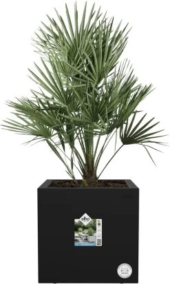 Elho Vivo Next Vierkant 30 - Plantenbak Voor Binnen & Buiten - Ø 29.5 X H 29.5 Cm - Zwart/Living Black -Gardena Winkel 720x1200 1