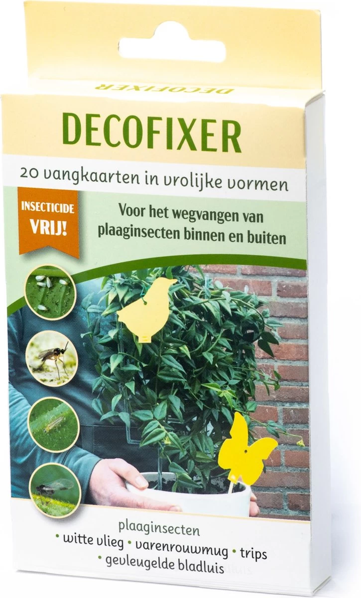 Rouwvliegjes Bestrijden - Voordeelpakket - Aaltjes En Plakkaartjes - Vliegjes In Plant - Varenrouwmug - Vangplaatjes - Decofixer - Aaltjes - Varenrouwmugpakket 3 Rouwvliegjes Bestrijden - Voordeelpakket - Aaltjes En Plakkaartjes - Vliegjes In Plant - Varenrouwmug - Vangplaatjes - Decofixer - Aaltjes - Varenrouwmugpakket - Afbeelding 3