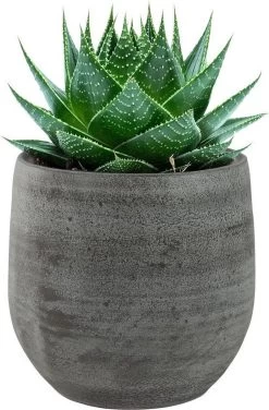 Pot Esra Mystic Grey Bloempot Binnen 15 Cm -Gardena Winkel 789x1200 4