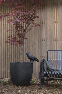 Capi Europe - Bloempot Bol Smooth NL - 54x52 - Zwart - Voor Binnen En Buiten - KBL935 -Gardena Winkel 793x1200