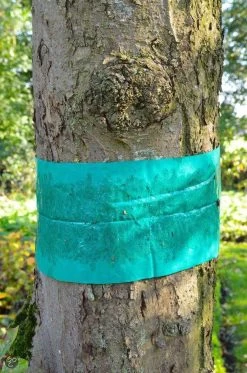 ECOstyle Lijmband Beschermt Tegen Schadelijke Insecten - Werkt Tegen Mieren, Wintervlinder, Bladluis En Meer - Weerbestendig - 2,5 M Lijmband & 6 M Touw -Gardena Winkel 795x1200 7