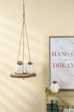 Set Van 2 Boomstam Rond Wandrek Plantenhangers - Boho Jute Houten Plantenrek - Hangpot Voor Binnen/Buiten - Hangende Bloempot Plank - Hangplant Houder - Bohemian Macrame Stijl Wandhanger - Hangplank Plant Hanger - Planthanger - Ø Rond 25-20cm -Gardena Winkel 799x1200 106