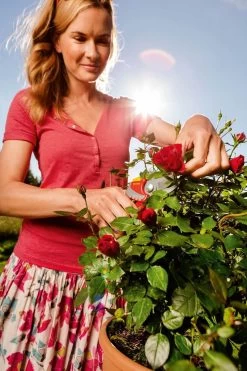 WOLF-Garten Snoeischaar "Premium Plus" RR 4000 - Max. Knipdiameter 22 Mm - Links- En Rechtshandige - Softinleg Handgreep - Snijhoek 30° - Voor Grote Handen - Vervangbare Messen -Gardena Winkel 799x1200 32