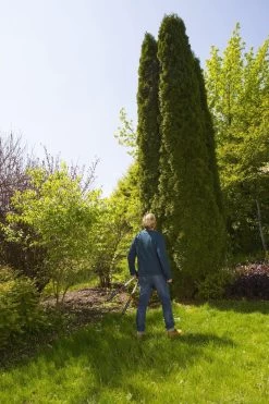 GARDENA TeleCut Heggenschaar - Telescopische Handgrepen Van 70-90 Cm -Gardena Winkel 799x1200 49