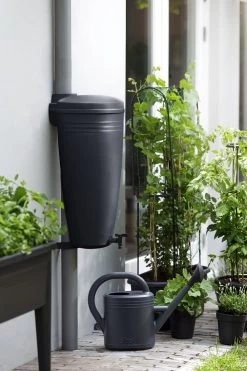 Elho Green Basics Rain Catcher 33 - Regenton Voor Balkonbuiten - Ø 33.5 X H 73.5 Cm - Zwart/Living Black -Gardena Winkel 800x1200 122