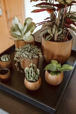 Capi Europe - Bloempot Bol Groove - 23x21 - Goud - Bloempot Voor Binnen - BGVGB134 -Gardena Winkel 800x1200 157