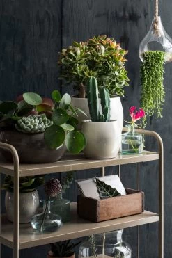 Mica Decorations Lester Bloempot - H22 X Ø24 Cm - Terracotta - Groen -Gardena Winkel 800x1200 158