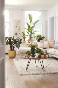 Elho Vibes Fold Rond Wielen 35 - Bloempot Voor Binnen - Ø 34.9 X H 32.4 Cm - Delicaat Roze -Gardena Winkel 800x1200 164