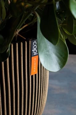 Capi Europe - Bloempot Bol Groove NL - 35x34 - Goud - Voor Binnen En Buiten - KGVGB932 -Gardena Winkel 800x1200 171