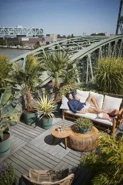 Elho Greenville Rond 30 - Grote Bloempot Voor Buiten - Gemaakt Van Gereycled Plastic - Ø 29.5 X H 27.8 Cm - Blad Groen -Gardena Winkel 800x1200 175