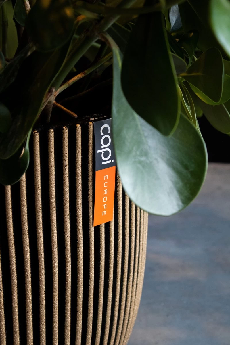 Capi Europe - Vaas Elegant Laag Groove NL - 34x46 - Goud - Voor Binnen En Buiten - KGVGB782 3 Capi Europe - Vaas Elegant Laag Groove NL - 34x46 - Goud - Voor Binnen En Buiten - KGVGB782 - Afbeelding 3