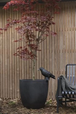 Capi Europe - Bloempot Bol Smooth NL - 43x41 - Zwart - Voor Binnen En Buiten - KBL933 -Gardena Winkel 800x1200 191