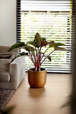 Capi Europe - Bloempot Bol Retro XL - 42x41 - Goud - Bloempot Voor Binnen - Opening ⌀36 - RTG933 -Gardena Winkel 800x1200 196