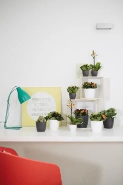 Elho B.for Soft Rond 35 - Bloempot Voor Binnen - Ø 34.5 X H 32.3 Cm - Antraciet -Gardena Winkel 800x1200 199