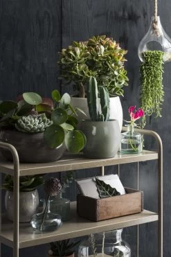 Mica Decorations Lester Bloempot - H31 X Ø33 Cm - Terracotta - Groen -Gardena Winkel 800x1200 204