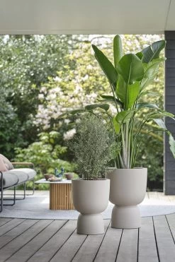 Elho Pure Coupe 41 - Bloempot Voor Binnen & Buiten - Ø 41.3 X H 57.9 Cm - Beige/Balanced Beige -Gardena Winkel 800x1200 207