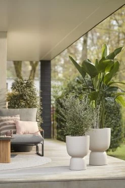 Elho Pure Coupe 41 - Bloempot Voor Binnen & Buiten - Ø 41.3 X H 57.9 Cm - Beige/Balanced Beige -Gardena Winkel 800x1200 209