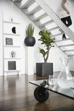 Capi Europe - Bloempot Vierkant Smooth NL - 30x30x30 - Zwart - Voor Binnen En Buiten - KBL902 -Gardena Winkel 800x1200 212