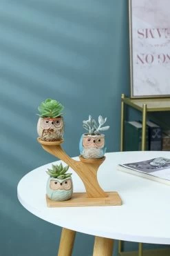 Luxe Bamboe Houten Boom Met 3 Keramiek Uil Bloempotten/Plantenpotten Op Standaard/Voet Voor Binnen En Buiten - Modern Design Bloempot/Plantenpot Op Poten/Pootjes-Plantenbak Mini Cactus Nep Plant Pot Houder - Kleine Bloembakken Plantenrek/Plantenkurk -Gardena Winkel 800x1200 215