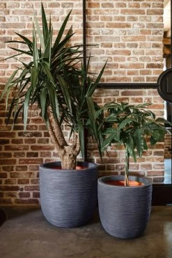 Capi Europe - Bloempot Bol Rib NL - 35x34 - Ivoor - Voor Binnen En Buiten - KOFI932 -Gardena Winkel 800x1200 216