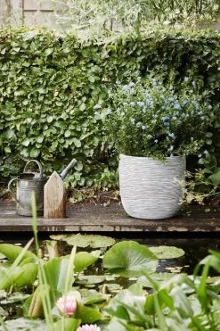 Capi Europe - Bloempot Bol Rib NL - 35x34 - Ivoor - Voor Binnen En Buiten - KOFI932 -Gardena Winkel 800x1200 218