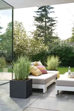 Elho Vivo Next Vierkant 30 - Plantenbak Voor Binnen & Buiten - Ø 29.5 X H 29.5 Cm - Zwart/Living Black -Gardena Winkel 800x1200 222