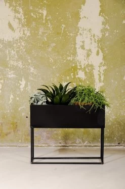 SENZA Rechthoekige Plantenbak - Bloemenbak Ijzer - 42.5 X 34cm - Zwart 5 SENZA Rechthoekige Plantenbak - Bloemenbak Ijzer - 42.5 X 34cm - Zwart -Gardena Winkel 800x1200 224