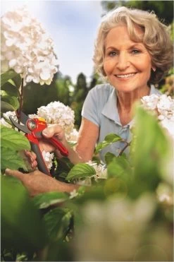 WOLF-Garten Snoeischaar "Premium Plus" RR 4000 - Max. Knipdiameter 22 Mm - Links- En Rechtshandige - Softinleg Handgreep - Snijhoek 30° - Voor Grote Handen - Vervangbare Messen -Gardena Winkel 800x1200 35