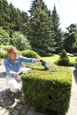 Bosch ISIO Gen III Accu Buxusschaar + Grasschaar -Gardena Winkel 800x1200 36