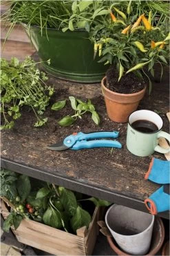 GARDENA - Classic B/S-M Bypass Snoeischaar - Ø 22mm - 25 Jaar Garantie -Gardena Winkel 800x1200 40