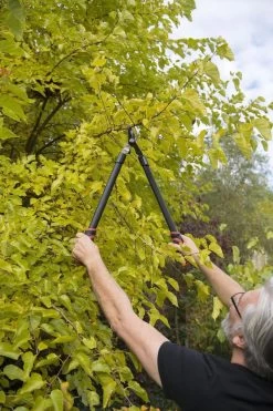 Kreator KRTGR4001 Takkenschaar - 650mm -Gardena Winkel 800x1200 42