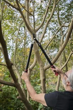 Kreator KRTGR4001 Takkenschaar - 650mm -Gardena Winkel 800x1200 43