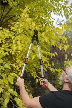 Kreator KRTGR4013 Telescopische Takkenschaar - 63-89 Cm Totale Lengte - . Ø39 Mm Knipdiameter -Gardena Winkel 800x1200 45