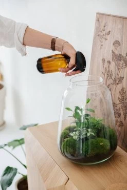 24DOTS Living Plantenspuit | 500 Ml Bruin Amber Glas | Plantensproeier | Plantenspuit Binnen | Waterverstuiver | Vernevelaar -Gardena Winkel 800x1200 84