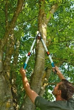 Gardena TeleCut Takkenschaar 650-900 B - Uitschuifbare Armen - Tot Max 90 Cm -Gardena Winkel 801x1200 2