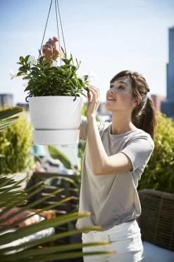 Elho Greenville Hangschaal 24 - Bloempot Voor Balkonbuiten - Ø 23.5 X H 20.5 Cm - Zwart/Living Black -Gardena Winkel 801x1200 32