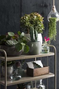 Mica Decorations Lester Bloempot - H31 X Ø33 Cm - Terracotta - Groen -Gardena Winkel 801x1200 33