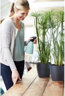 Elho Brussels Sprayer 12 - Plantenspuit Voor Binnen - Ø 11.3 X H 22.3 Cm - Groen/Mint -Gardena Winkel 813x1200 5