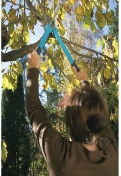 GARDENA Comfort 500 BL Takkenschaar - Max Knipdiameter 35 Mm 14 GARDENA Comfort 500 BL Takkenschaar - Max Knipdiameter 35 Mm -Gardena Winkel 825x1200 10