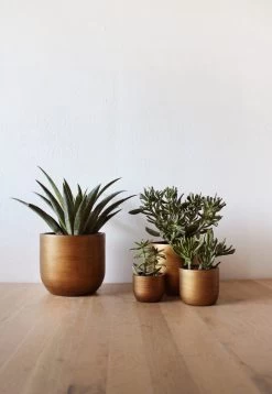 Capi Europe - Set Van 4 - Bloempot Binnen - Retro - - Goud - Bloempot Voor Binnen - BOX-BRTG-4 -Gardena Winkel 829x1200 4